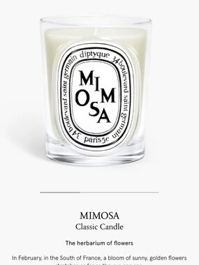 Diptyque Mimosa Classic Size Candle